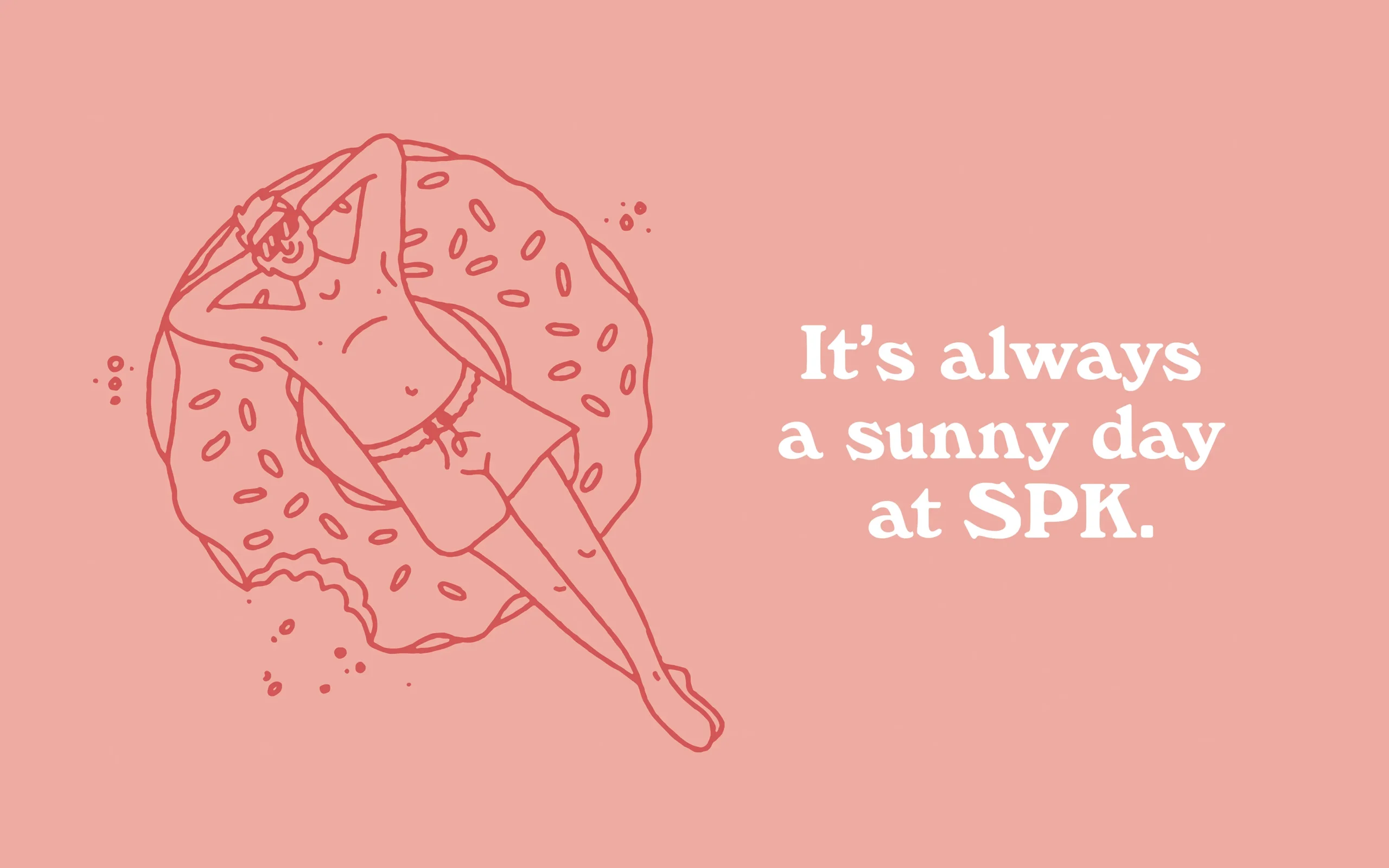 SPK – Project Case Study – 13