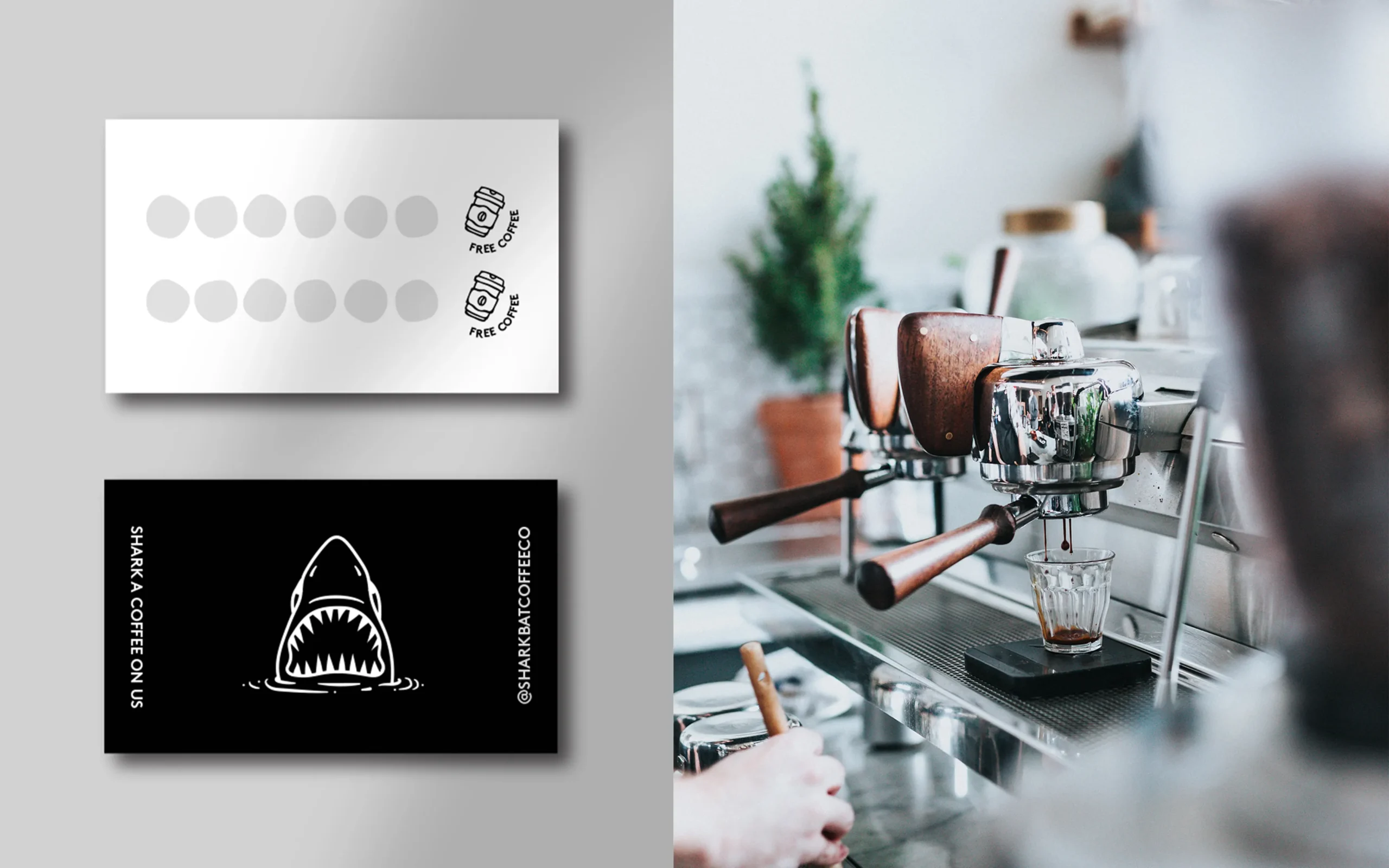 Shark Bay Coffee Co. – Project Case Study – 3