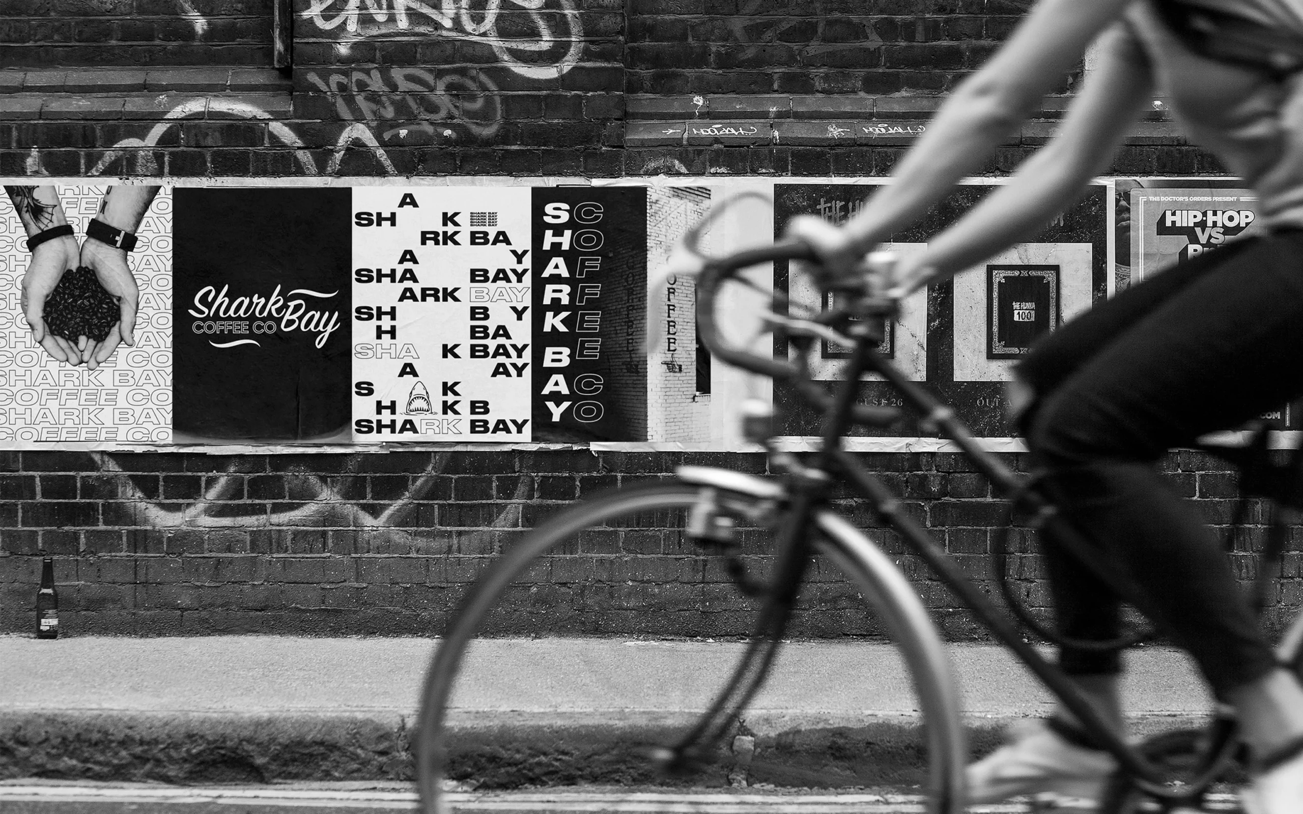 Shark Bay Coffee Co. – Project Case Study – 4