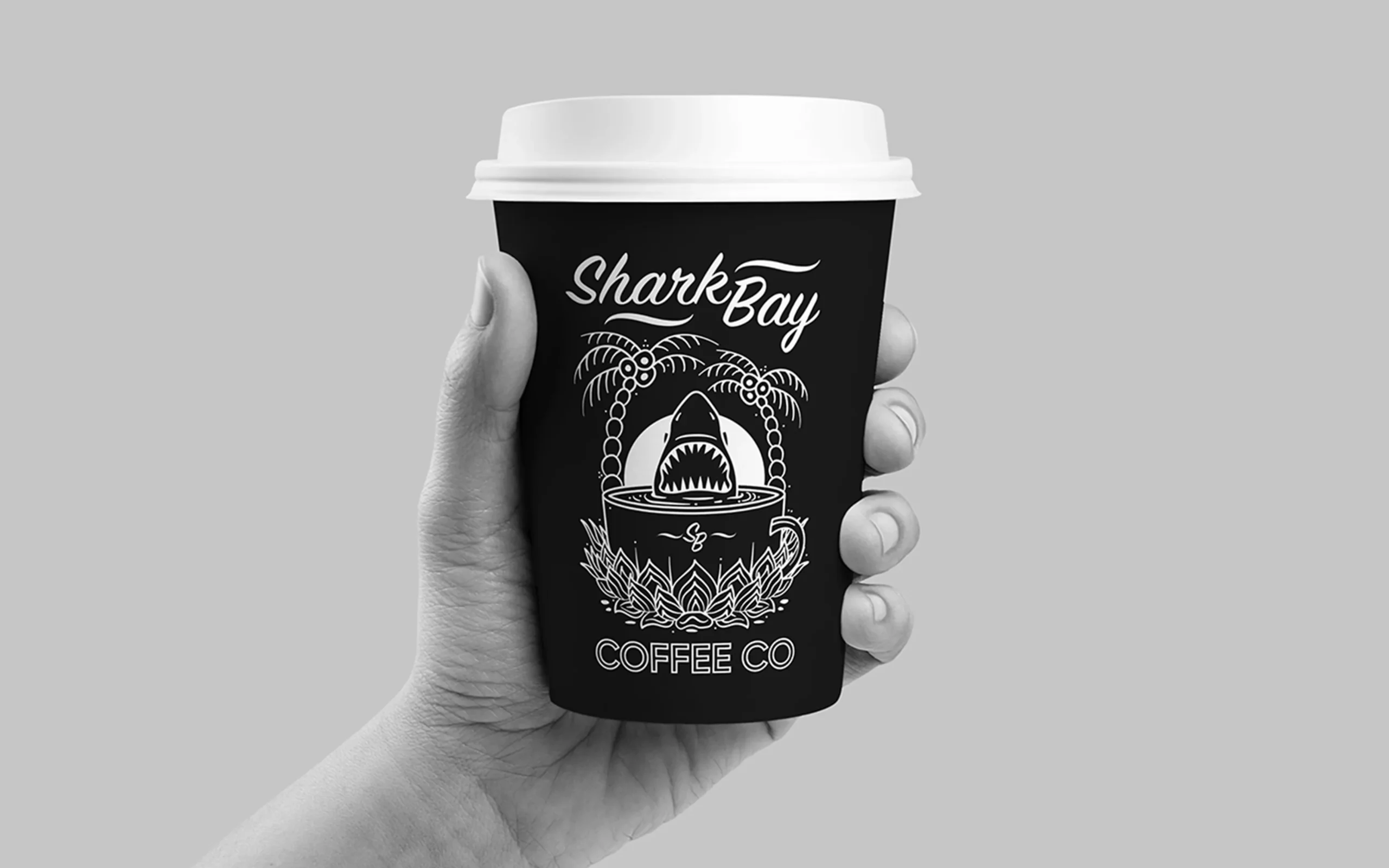 Shark Bay Coffee Co. – Project Case Study – 6