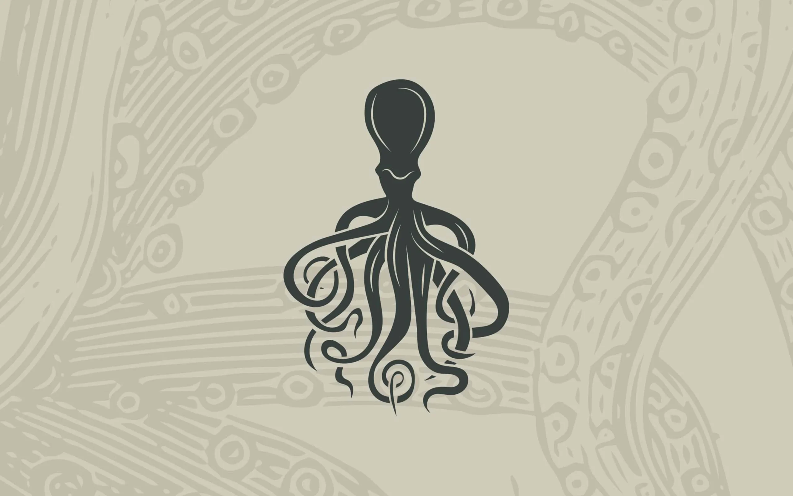 The Rocks – Project Case Study – 10